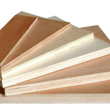 Factory Direct Sale  GURJAN Plywood